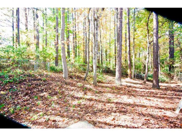 311 Colony Springs Court, Woodstock, GA 30188