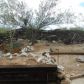702 S Avenida Del Monte, Tucson, AZ 85748 ID:3406145