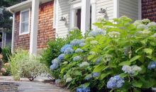 54 Scraggy Neck Rd Cataumet, MA 02534