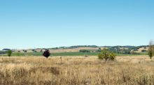 5750 Stage Gulch Road Sonoma, CA 95476