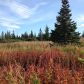 17630 Kimeluk Street, Ninilchik, AK 99639 ID:1079769