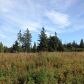 17630 Kimeluk Street, Ninilchik, AK 99639 ID:1079774