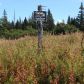 17630 Kimeluk Street, Ninilchik, AK 99639 ID:1079775