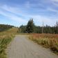 17630 Kimeluk Street, Ninilchik, AK 99639 ID:1079776