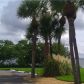 135 2980 HAINES BAYSHORE RD, Clearwater, FL 33760 ID:3322624