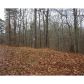 498 Marque Lane Ne, Ranger, GA 30734 ID:3087540