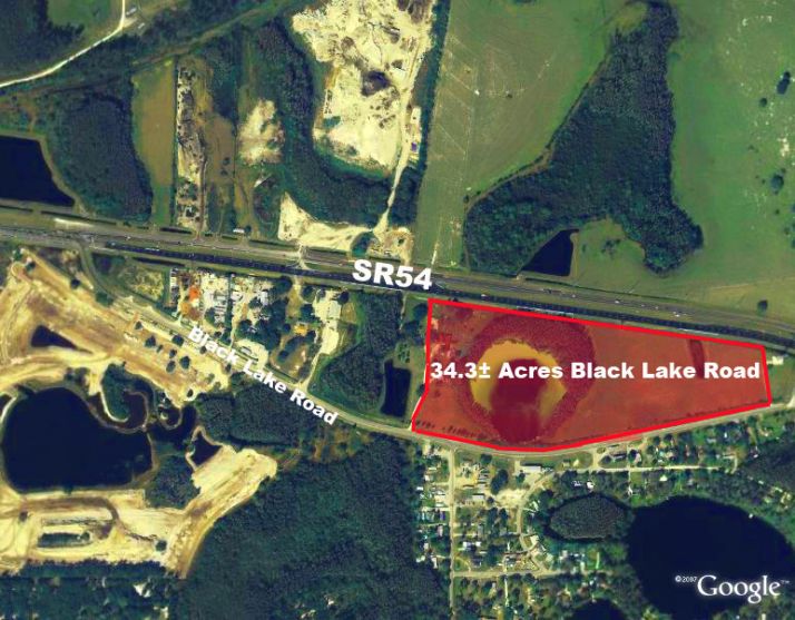 00 SR 54, Odessa, FL 33556