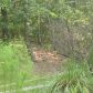 2999 Pruitt Lane, Cumming, GA 30041 ID:2606167