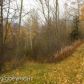 L10 Delores Drive, Eagle River, AK 99577 ID:1517047