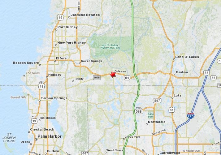 0 State Road 54, Odessa, FL 33556