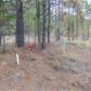 LOT 3 BLOCK H HORSESHOE BENDKENNESAW GAP SUBDIVISI, Ozark, AL 36360 ID:1991176