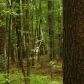178 Owens Mill Path, Dallas, GA 30132 ID:2565636