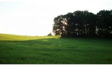 1539 Bear Creek Lot 2 Road Moreland, GA 30259