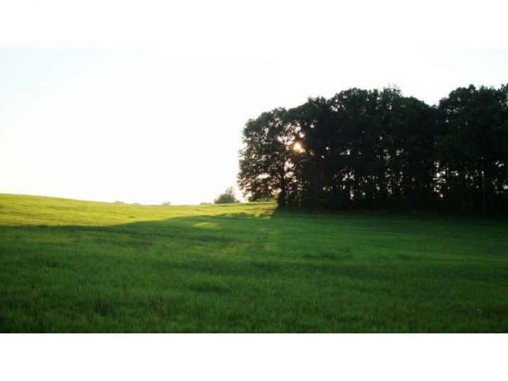 1539 Bear Creek Lot 2 Road, Moreland, GA 30259