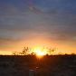 16280 W. SPUR BELL LANE, Marana, AZ 85653 ID:2208219