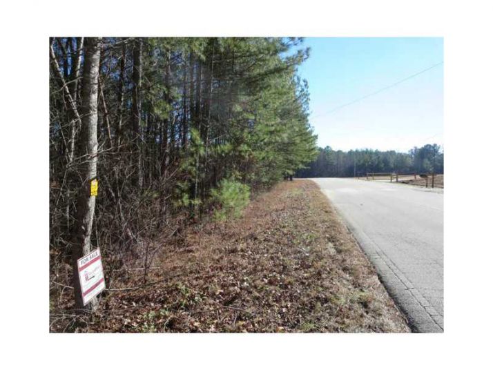 15 Jacksonville Road, Tallapoosa, GA 30176