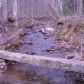295 Locust Road, Dahlonega, GA 30533 ID:2436908