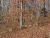 LOT 58 LISANBY Rd Eddyville, KY 42038