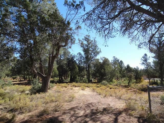 239 N PINON Drive, Payson, AZ 85541