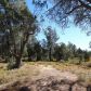 239 N PINON Drive, Payson, AZ 85541 ID:1932467