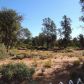 239 N PINON Drive, Payson, AZ 85541 ID:1932480