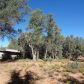 239 N PINON Drive, Payson, AZ 85541 ID:1932483