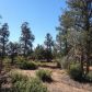 239 N PINON Drive, Payson, AZ 85541 ID:1932485