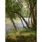 45503 Eagle Overlook Drive, Dahlonega, GA 30533 ID:2439967