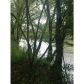 45503 Eagle Overlook Drive, Dahlonega, GA 30533 ID:2439968