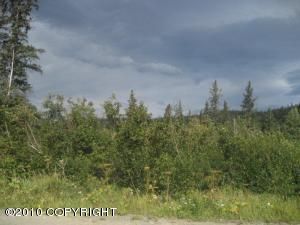 L1 B1 Cinerama Terrace Drive, Anchorage, AK 99516