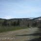 7135 Big Mountain Drive, Anchorage, AK 99516 ID:1579856