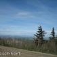 7135 Big Mountain Drive, Anchorage, AK 99516 ID:1579858