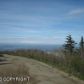 7135 Big Mountain Drive, Anchorage, AK 99516 ID:1579859