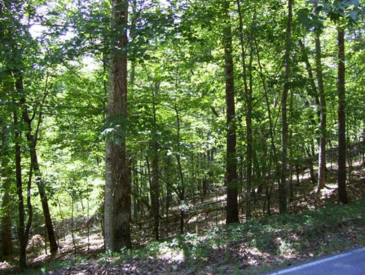 173 Little Coyote Loop, Waleska, GA 30183