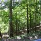 173 Little Coyote Loop, Waleska, GA 30183 ID:3134251