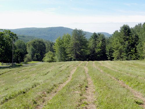 Spaulding Road, Saint Johnsbury, VT 05819