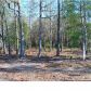 3 COUNTY LINE RD, Ravenel, SC 29470 ID:1890895