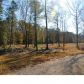 3 COUNTY LINE RD, Ravenel, SC 29470 ID:1890896