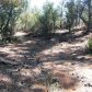 Lot 20 Edison Way, Payson, AZ 85541 ID:1931799