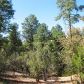 Lot 20 Edison Way, Payson, AZ 85541 ID:1931802