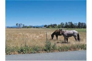 351 Scenic Avenue, Santa Rosa, CA 95407