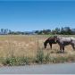 351 Scenic Avenue, Santa Rosa, CA 95407 ID:3606039