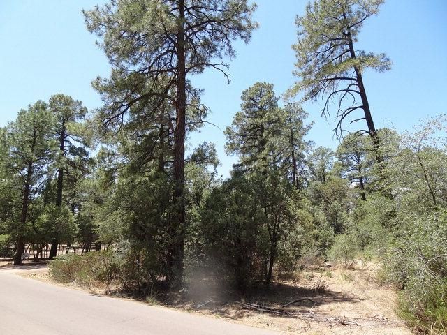 910 S. Mud Springs Rd., Payson, AZ 85541