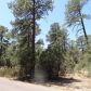 910 S. Mud Springs Rd., Payson, AZ 85541 ID:1931803