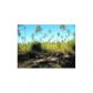 LOT 9 HICKORY RIDGE ESTATES, Leesville, LA 71446 ID:3095779