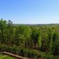 19 Hawks Branch Lane, White, GA 30184 ID:3136071