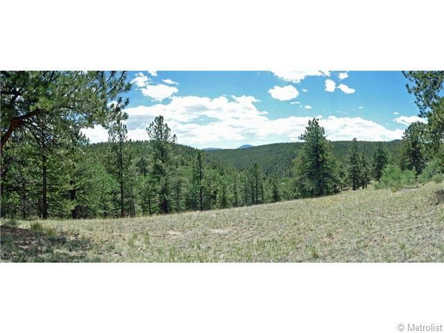 597 Evergreen Rd, Black Hawk, CO 80422