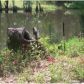 3768 Pineapple Hwy, Greenville, AL 36037 ID:1664195