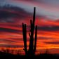 37225 N BLUE RIDGE Place, Cave Creek, AZ 85331 ID:1455174