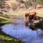 0 Old Don Pedro, La Grange, CA 95329 ID:3821991